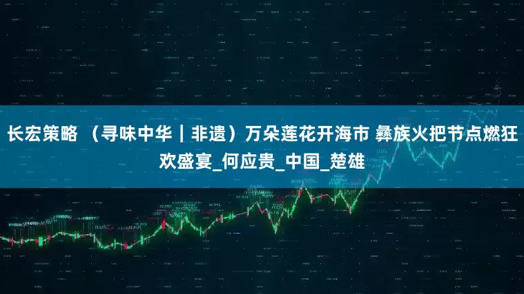 长宏策略 （寻味中华｜非遗）万朵莲花开海市 彝族火把节点燃狂欢盛宴_何应贵_中国_楚雄