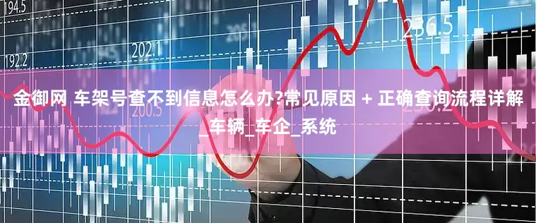 金御网 车架号查不到信息怎么办?常见原因 + 正确查询流程详解_车辆_车企_系统